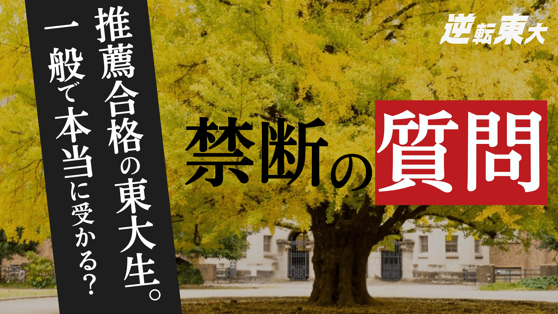 東大推薦合格者は、一般入試でも合格できるだけの実力を持っている場合がほとんど?【東大推薦合格者にアンケートしてみた】